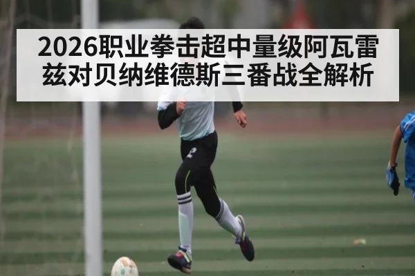 2026职业拳击超中量级阿瓦雷兹对贝纳维德斯三番战全解析（kaiyun）